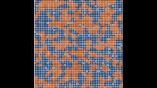 Schelling's model of residential segregation Net Worth