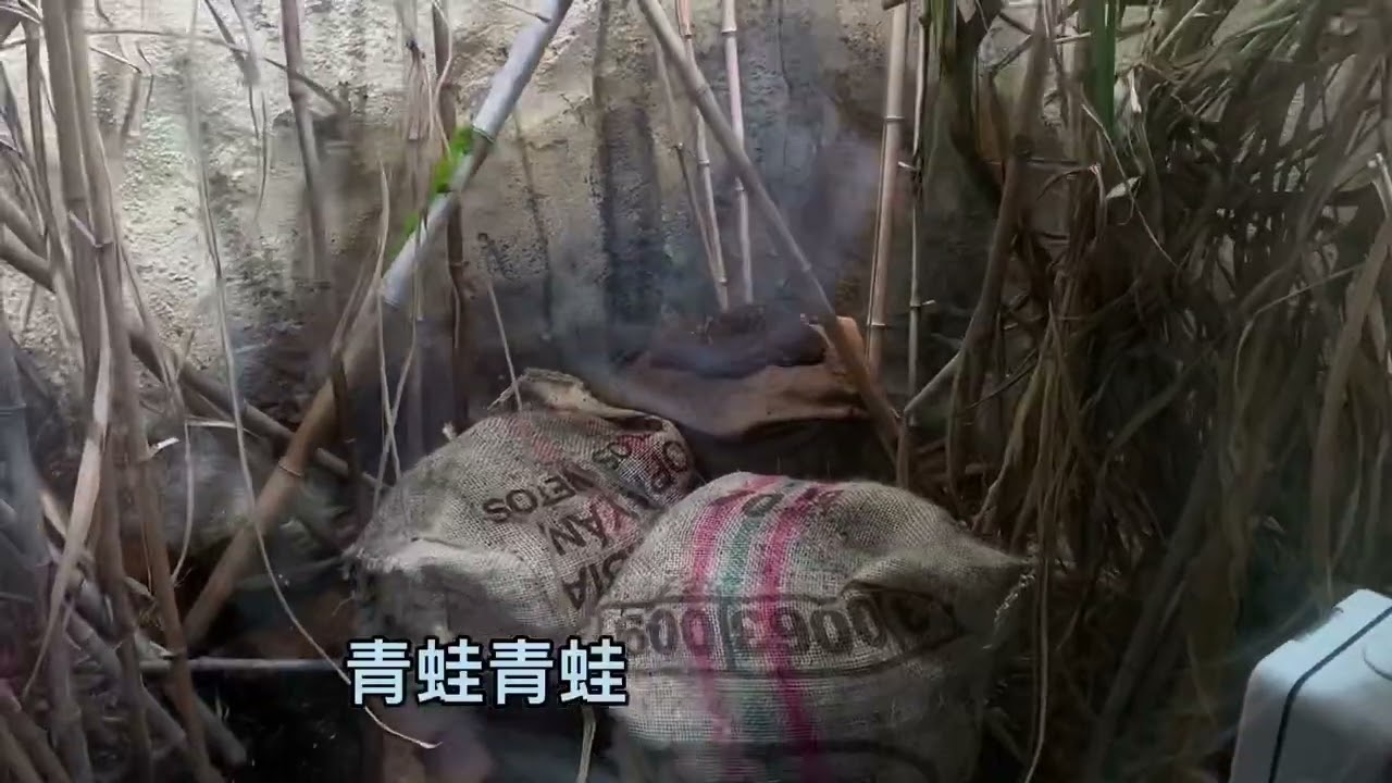 Welcome to Jersey🌞