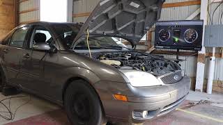 Florida Focus ST is here!!! Baseline dyno pull.