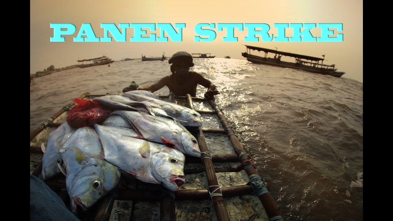 Umpan Paling Jitu Mancing Ikan Kue Rambe Babon 