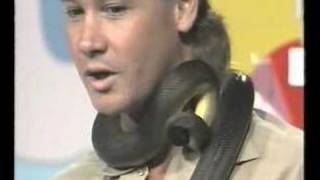 Steve Irwin Greatest TV event. Rare Snake Bite. Sunshine TV.