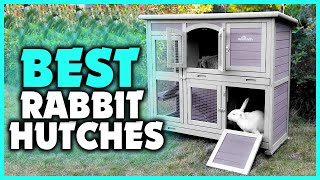 5 Best Rabbit Hutches