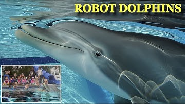 Animatronic Robot Dolphins Created And Could Replace Live Animals At Aquariums