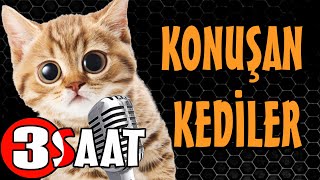 Konuşan Kediler 3 Saat - Sinema Tadında Komik Kediler