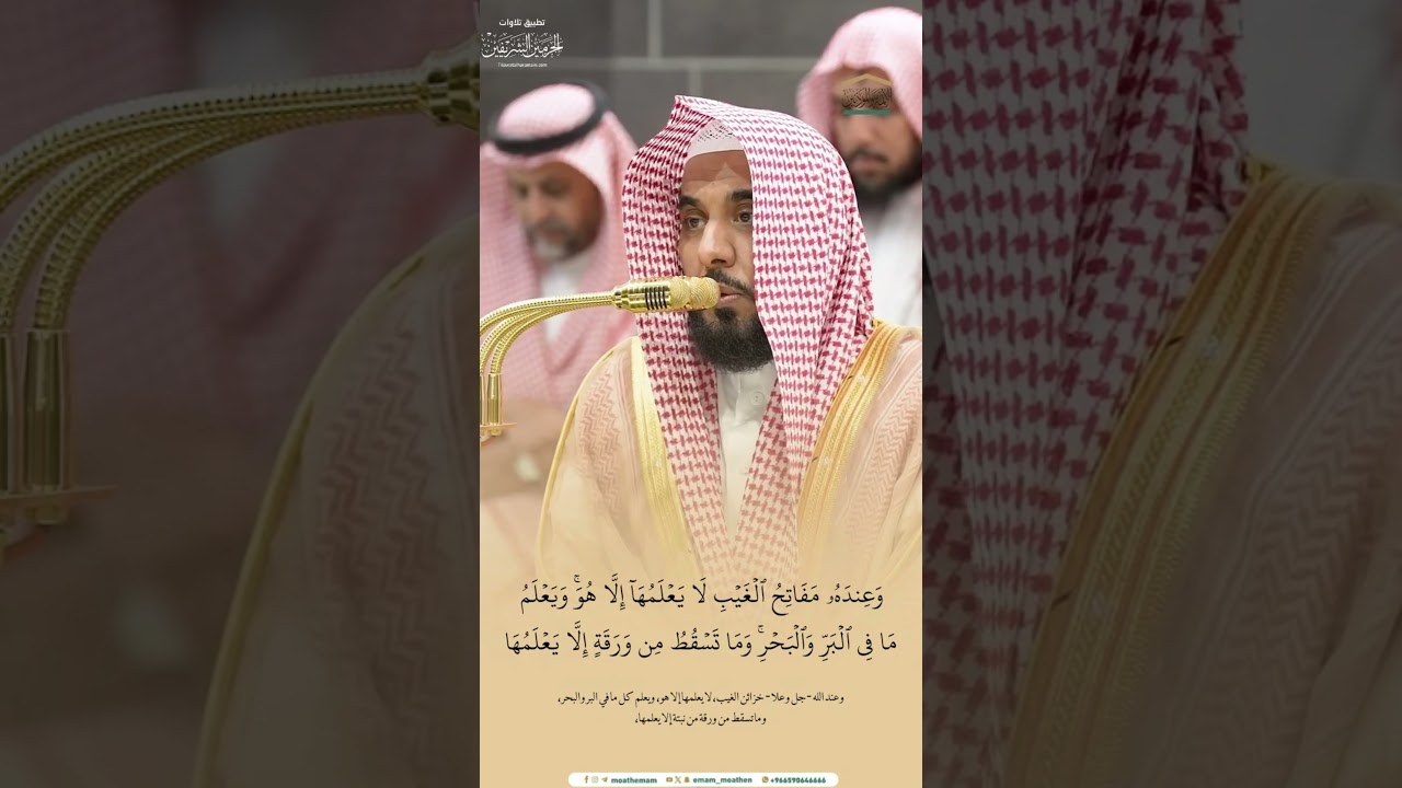 مقتطف من تلاوة الشيخ #عبدالله_الجهني فجر 13 ربيع الآخر 1446هـ