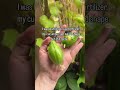 Gardening is a learning process 😅… I guess