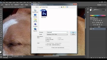 Saving a Photoshop Path