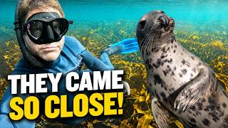 Greatest Wildlife Encounter In The UK?