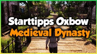 Starttipps Oxbow 🌱 MEDIEVAL DYNASTY 🌱 GUIDE