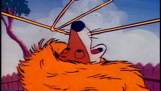 (En Español) All New Popeye: A Seal with Appeal