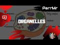 Organelles Song