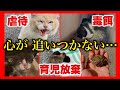 次々に現れる不幸な子達に 心が追いつかない…