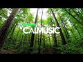 Peaceful Music for Anxiety Relief, Sleep & Inner Peace