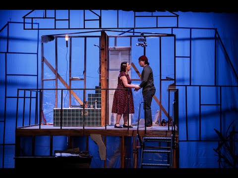 Radiant Vermin – Lyric Arts Theatre Trailer youtube thumbnail