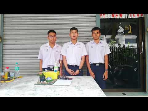 STEM PHYSICS : เครื่องรดน้ำต้นไม้อัตโนมัติ​