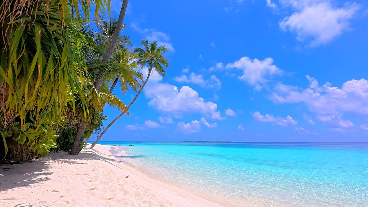 🏝 Fall Asleep With Relaxing Wave Sounds. Ocean Waves 4K UHD. Maldives Beach