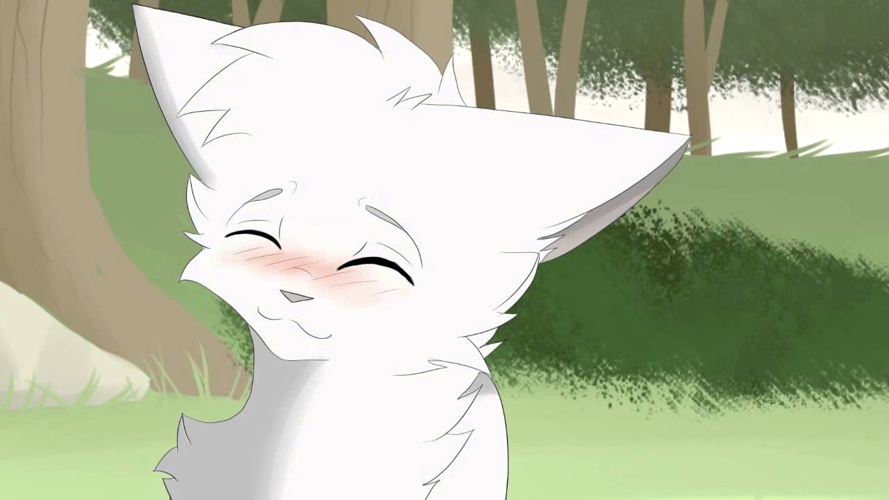 Картинки коты воители белогривка и остролап