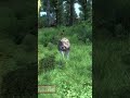 Oblivion Remastered vs Oblivion 2006 Archery Comparison Oblivion Remastered vs Oblivion 2006 Archery Comparison