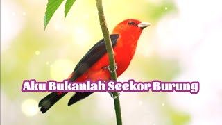 Aku bukanlah seekor burung || Puisi Inspirasi dan Motivasi