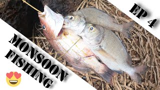Fishing Ep 4 | Monsoon Fishing  | Dead Bait  | White Perch  | #justj​ #justjallinonestudio