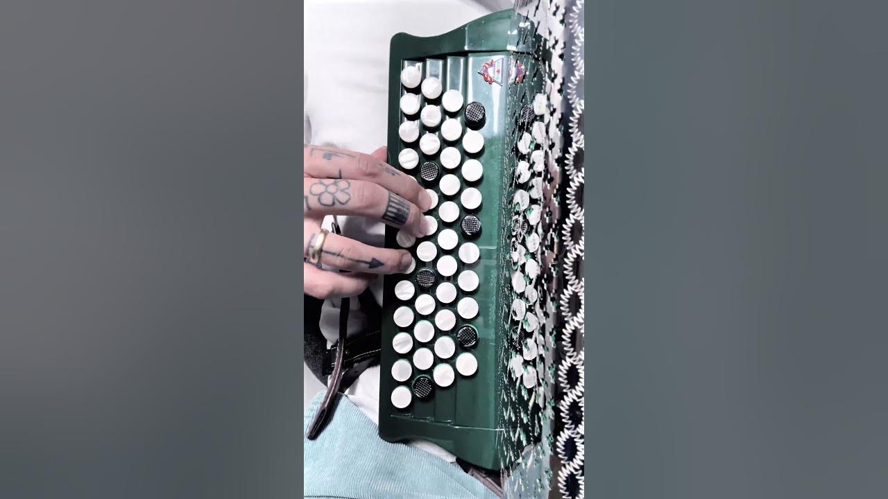 Freaks - Timmy Trumpet #steirischeharmonika #practice  #accordion