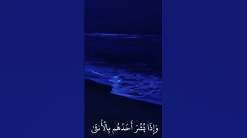 اسم القارئ/ عبد الرحمن مسعد/السوره سوره النحل /رقم الأيه 57#صلو ع النبي #explore #اكسبلور#استغفرالله