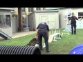 New York State Police Exhibit Canine/Bomb Disposal Unit Demonstration 2015