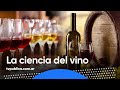 La ciencia del vino: secretos y saberes de una bebida con historia