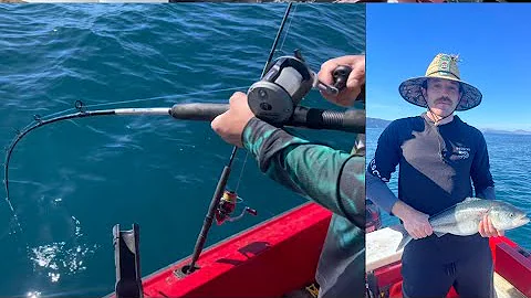 Kahawai Hunting at Spot X, Kāpiti (Our first ever video!)