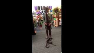 7' Foot Long Dreadlocks Jamaican Man Been Growing His Dreads Since 1969!