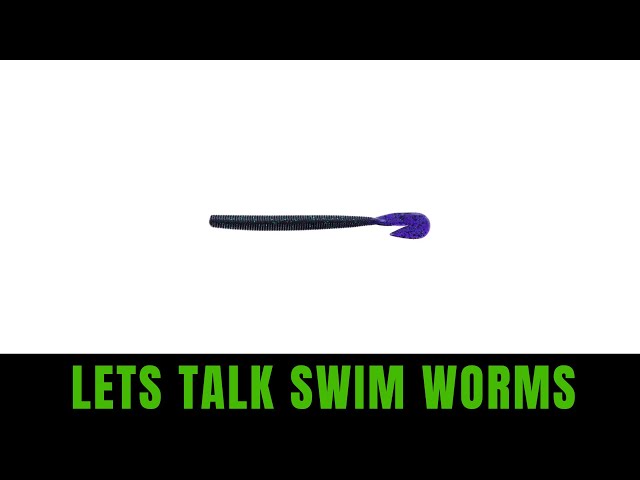 Everything you NEED to know about SWIM WORMS 