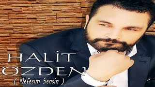 HALİT ÖZDEN - İKİ GÖZÜM Resimi