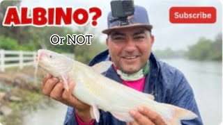 Fishing in deep rainy weather to catch River Monsters FISH ON!