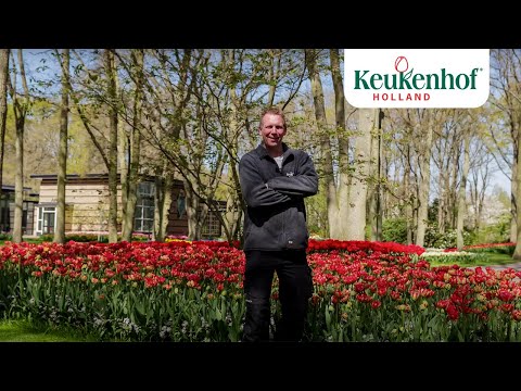 Head gardener Stefan takes you to the 'Blue River' - Keukenhof Virtually Open