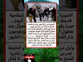 لماذا ينثرون القمح فوق الثلوج السر وراء هذه العادة حقائق إسلاميات رحمة Shorts اكتشف عجائب 