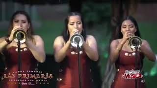 Video thumbnail of "Banda Femenil Las Primeras"