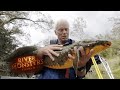 Handling Rare Australian Lungfish | River Monsters