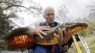 Handling Rare Australian Lungfish | River Monsters