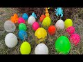 Oh my goodness,I can't believe my eyes! I saw so many beautiful,colorful dinosaur eggs in the garden
