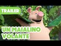 Nuovo episodio 2024 💥 Masha e Orso 🐻👱‍♀️ Un maialino volante 🐷💭 (Trailer) 💥 Arriva l