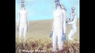 NORDIC VISITATION