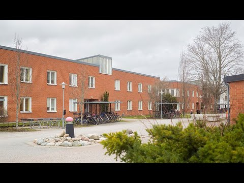 Student Accommodation Tour - Örebro University, Sweden