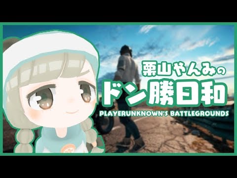 【PUBG】14時からカスタム、それまで野良【VTuber】