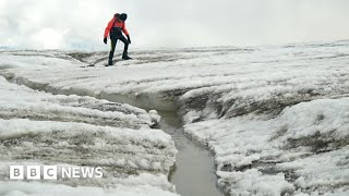 Swiss glaciers disappearing at record speed - BBC News