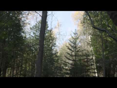 Deadly Voltage - Official Trailer