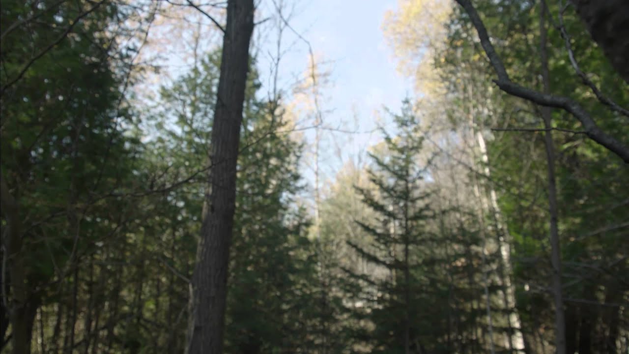 Deadly Voltage - Official Trailer