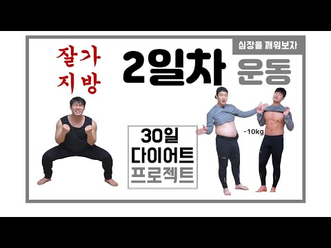 3030다이어트 2일차 홈트레이닝 운동_자고 있던 심장을 깨우자