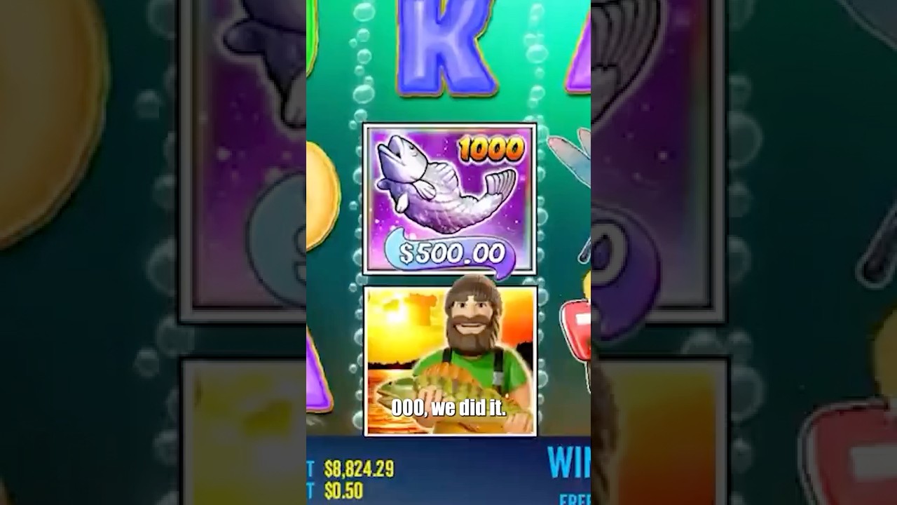 Поймайте 1000X FISH в слоте BIG BASS BONANZA 1000!