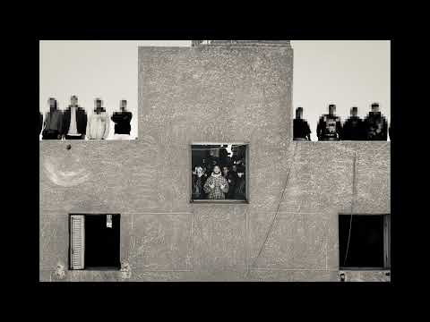    بيجاد كلاب فلوس   