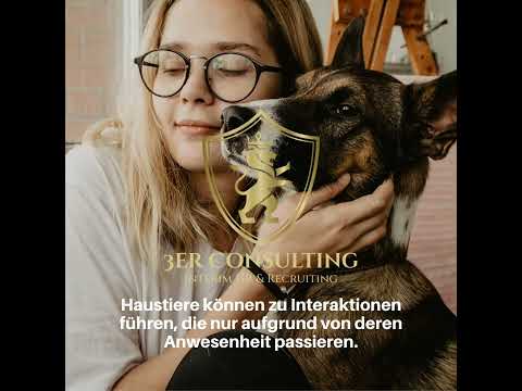 Der beste Freund mit im Büro. Hunde am Arbeitsplatz. 3er Consulting - Interim HR & Recruiting